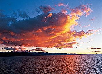 《天堂岛杀手》工作室新作公布 《达愿福神社》在东京游戏展首次发布全新预告片